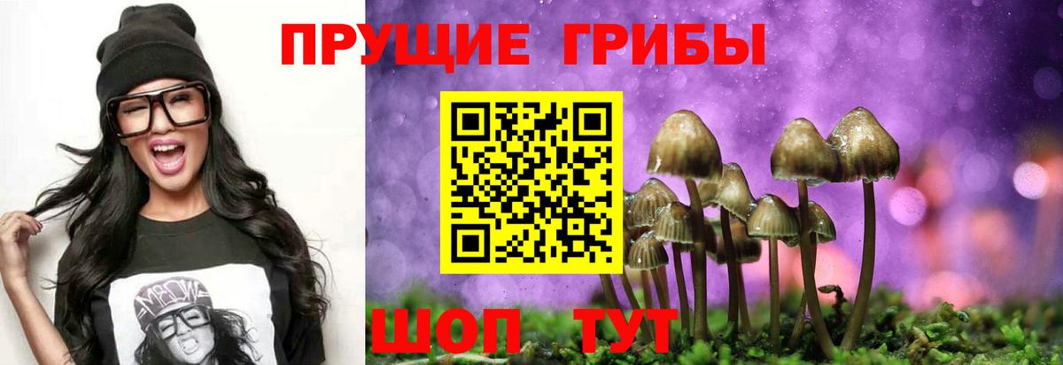Псилоцибиновые грибы Cubensis Острогожск